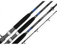 Daiwa Saltist Bluewater 6ft 6inches PE 1-2